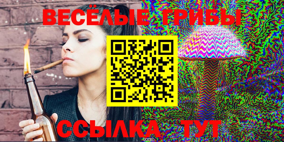 где купить   Вход с VPN  Пугачёв  Галлюциногенные грибы Psilocybine cubensis 