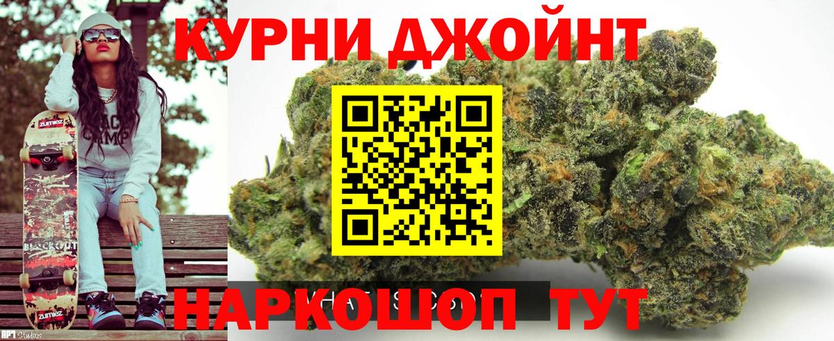 Конопля индика  Бошки Шишки ГИДРОПОН  Канабис Bruce Banner  Пугачёв  Марихуана планчик  Вход с VPN 